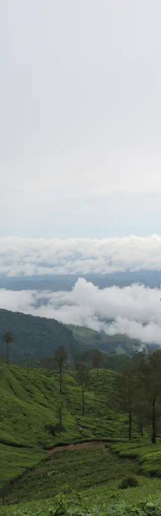 Sri Lanka – unterwegs mit einer internationalen Reisegruppe im Land der Vielfältigkeit